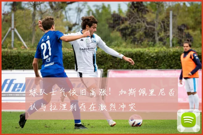 球队士气依旧高涨！加斯佩里尼否认与拉涅利存在激烈冲突